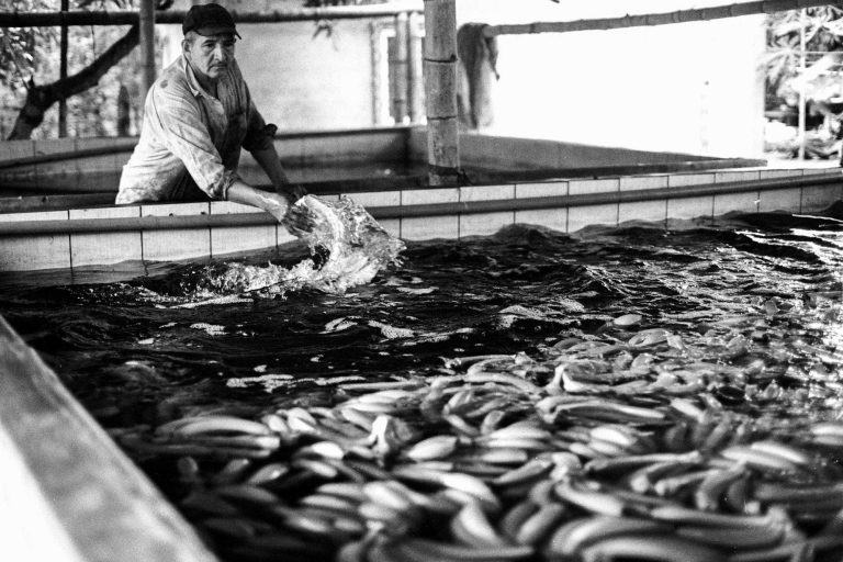 9EB744EA-56F6-4553-9628-D9F9A13ADC2E