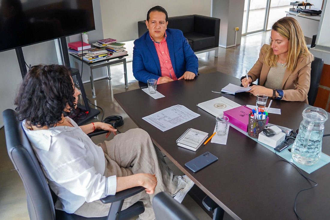 01-MERCEDES-MILLAN-CONSEJERA-CULTURAL-EMBAJADA-ESP (1)