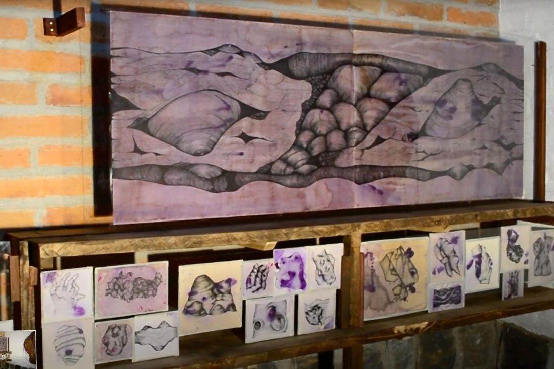 02 Paraje Advenedizo