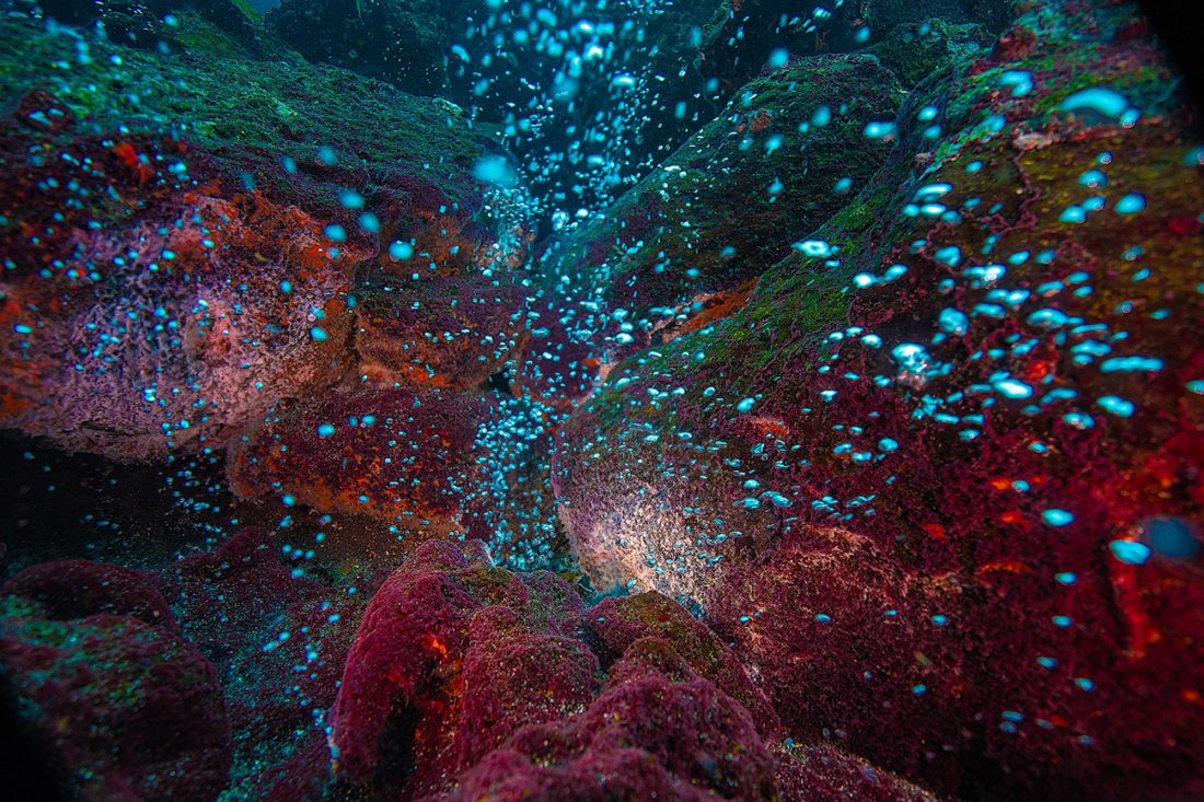 05 Dark Paradise Humans in Galápagos de Paúl Rosero