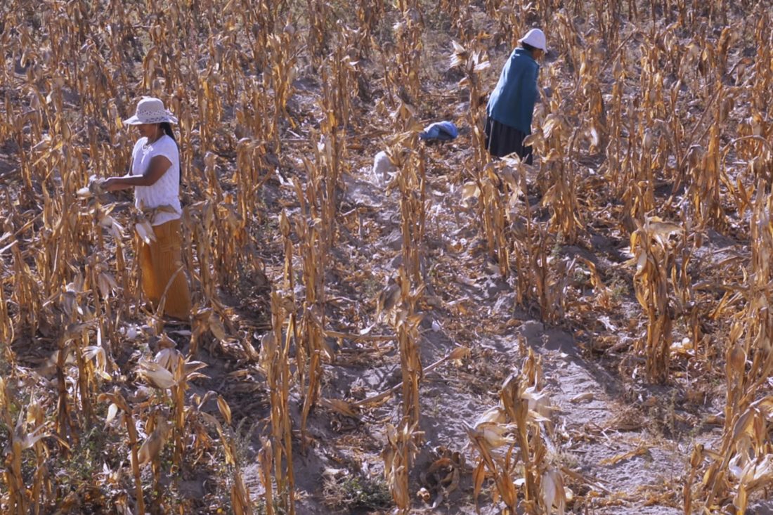 18 LUCY MICHELLE POLIT