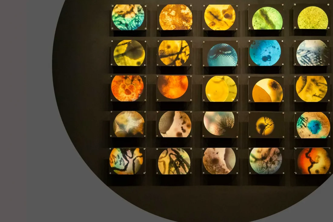 CRISTIAN-VILLAVICENCIO