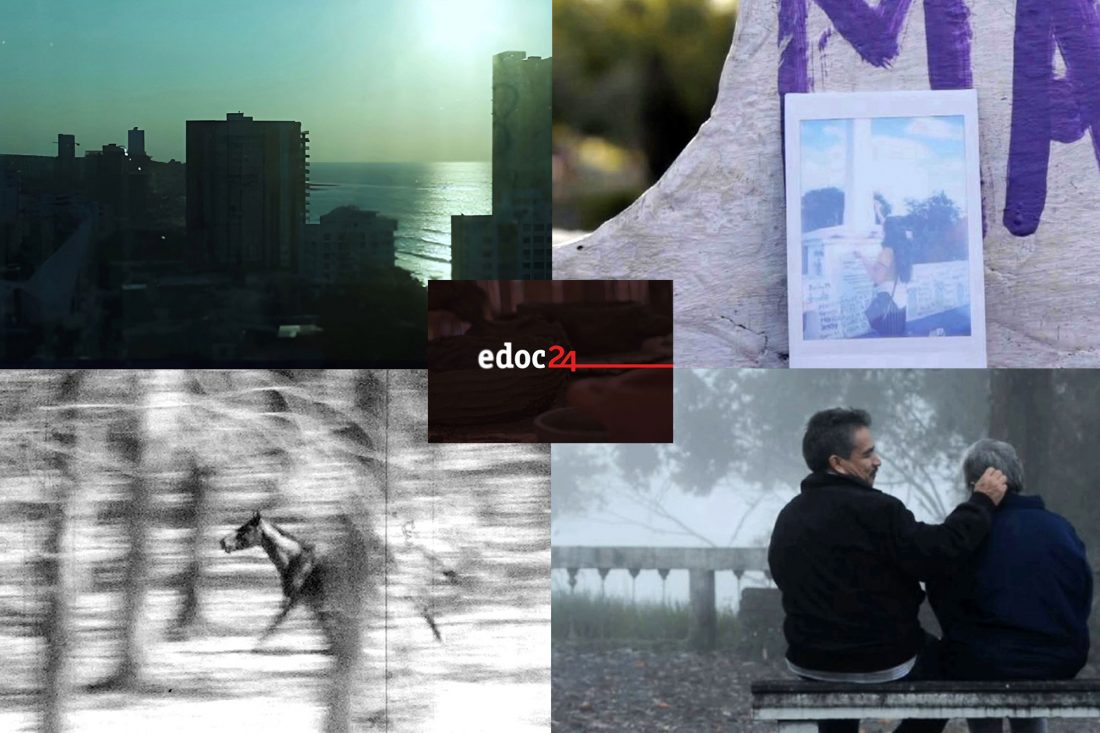 EDOC-24-EDICION--2025 (1)