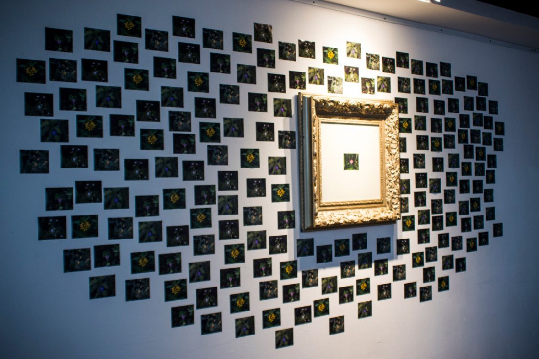 El-jardin--Kenia-Carbo