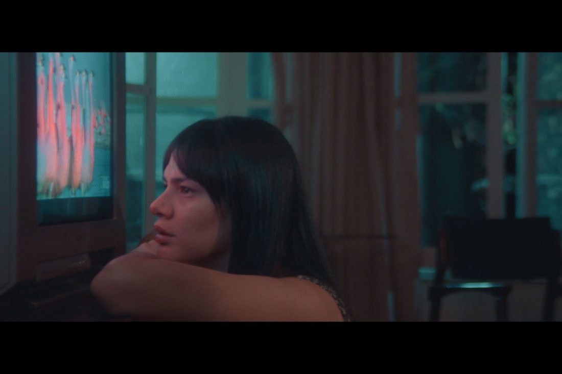 LONG_LEGGED_NURIA_001