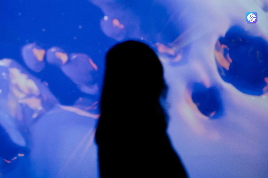 Maria-de-los-angeles-Herrera-01