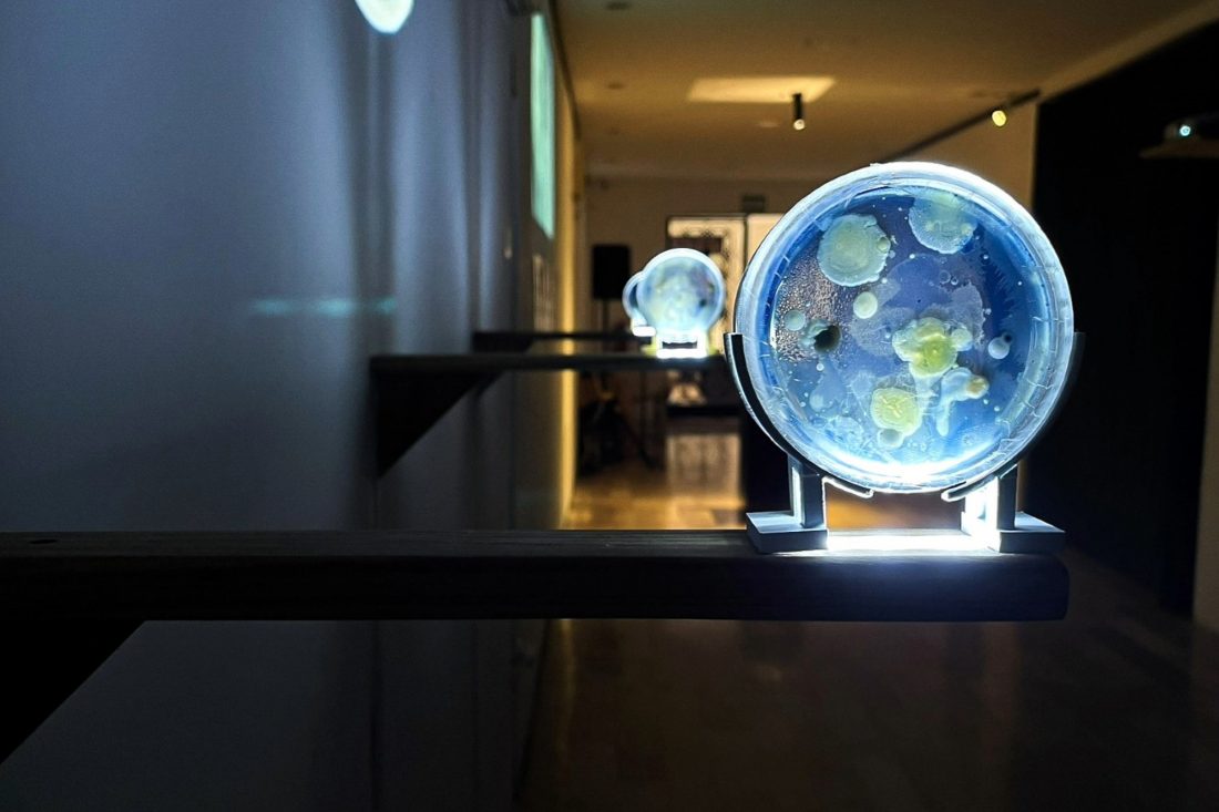 Proyecto Cambiar tamaño de imagen - 2025-08-25T195513.387