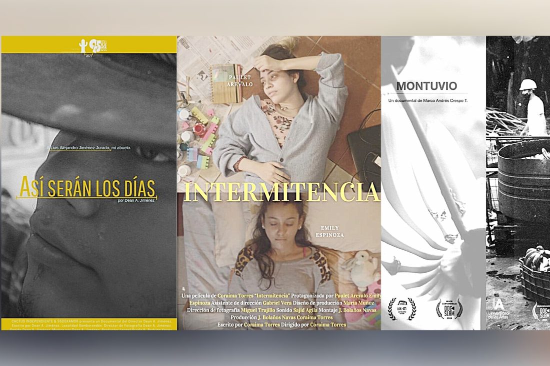 Proyecto Cambiar tamaño de imagen - 2025-11-17T150802.357