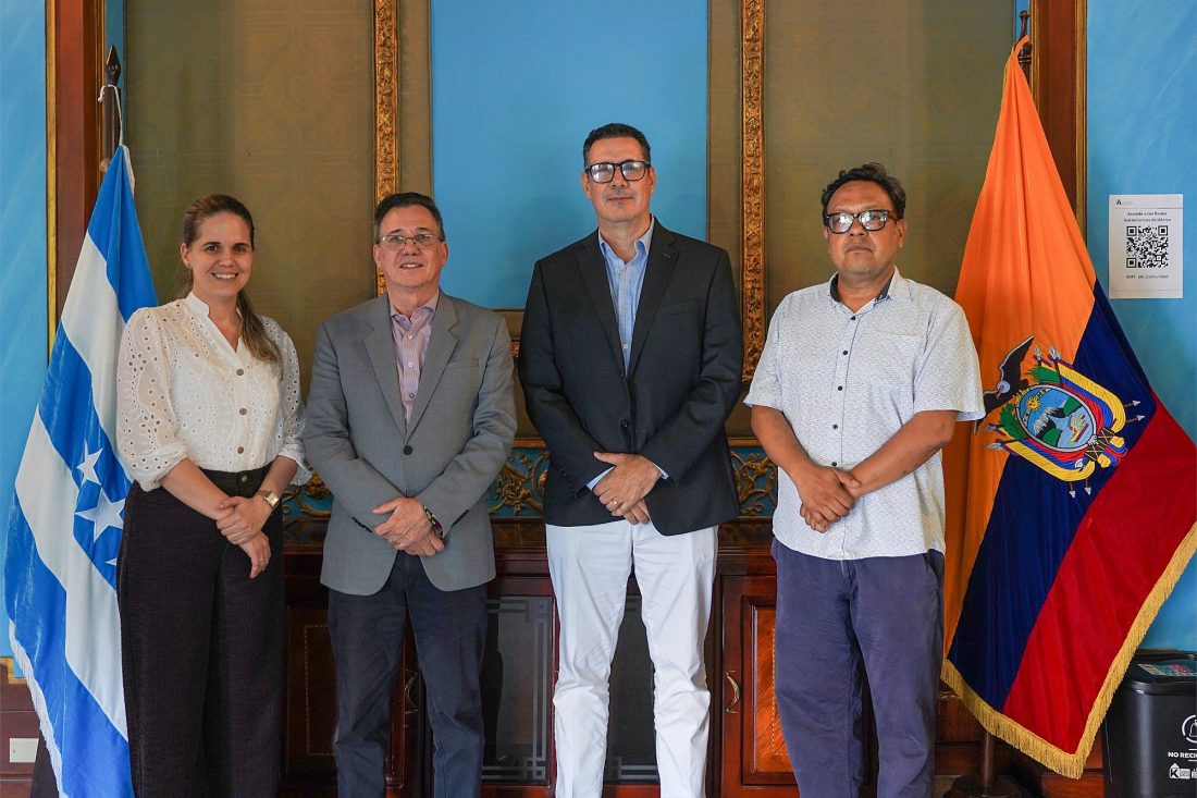 Proyecto Cambiar tamaño de imagen - 2026-01-16T190529.109