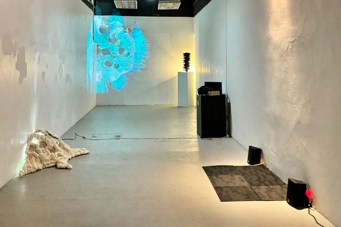 Proyecto Cambiar tamaño de imagen - 2026-02-23T150518.476