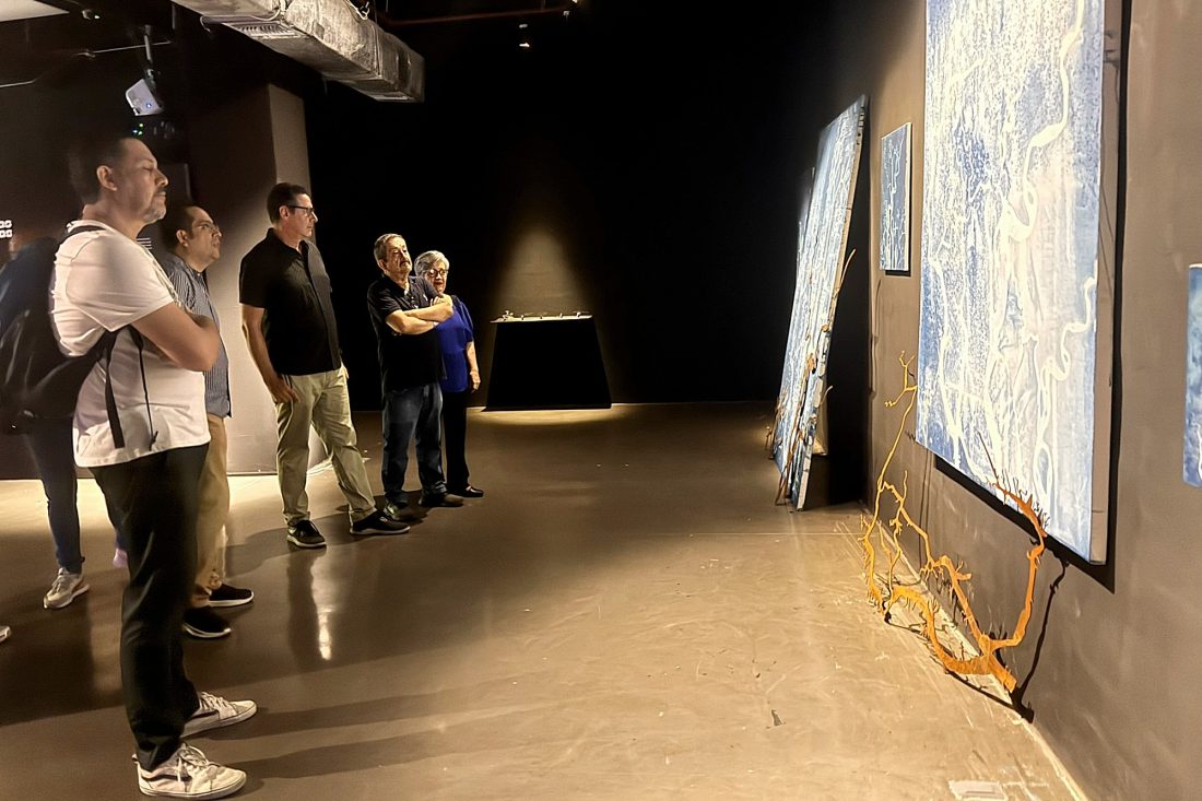 Proyecto Cambiar tamaño de imagen - 2026-03-24T110608.135