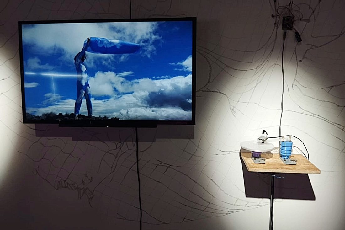 Proyecto Cambiar tamaño de imagen - 2026-03-24T141045.710