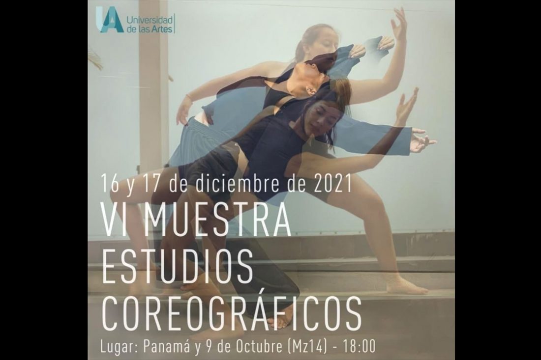 VI-ESTUDIOS-COREOGRAFICOS