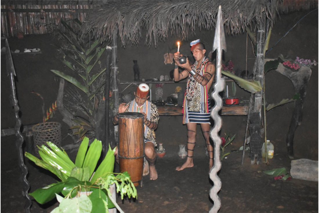 Nepi Somba, de Kevin Camacho